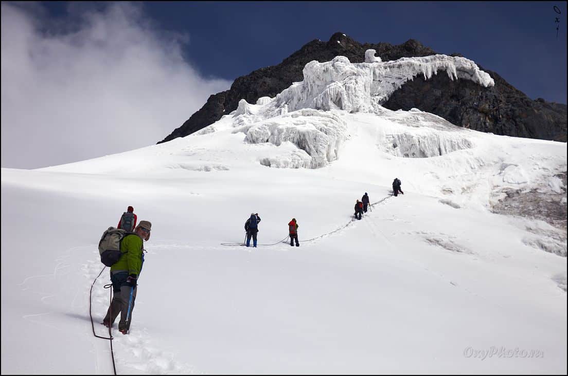 Margherita peak climb