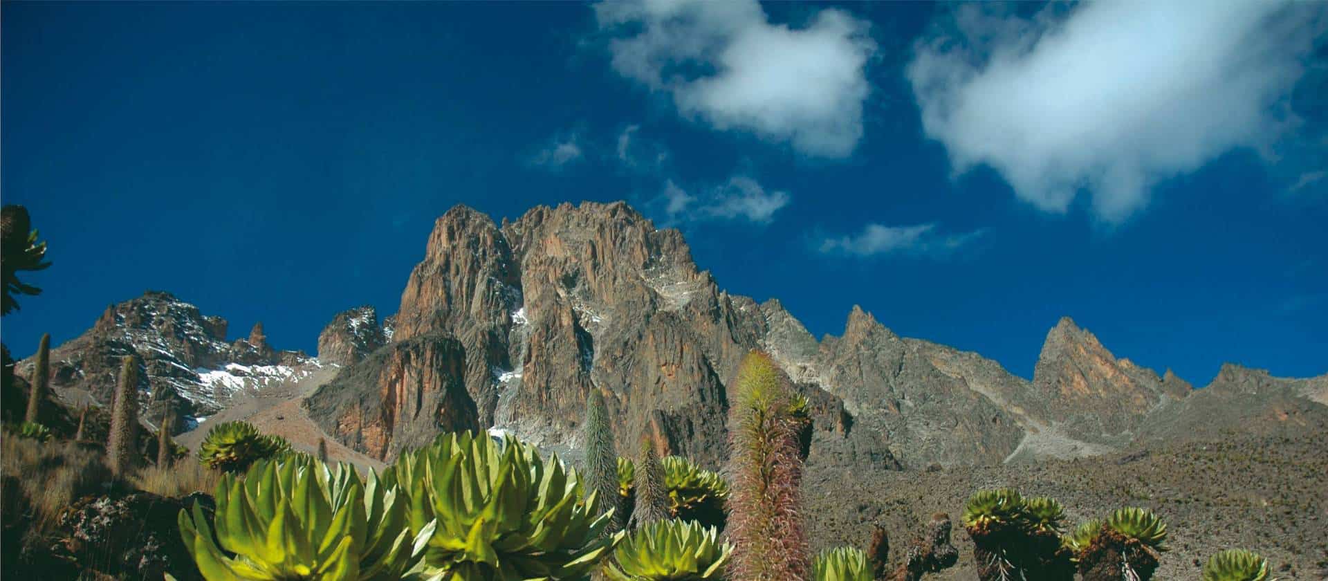 Mt kenya Ascent