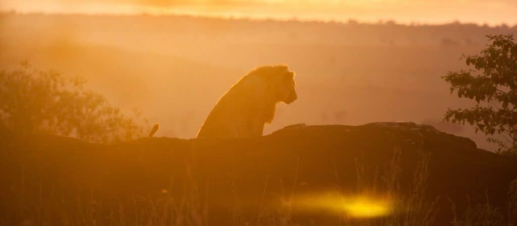 Kidepo national park