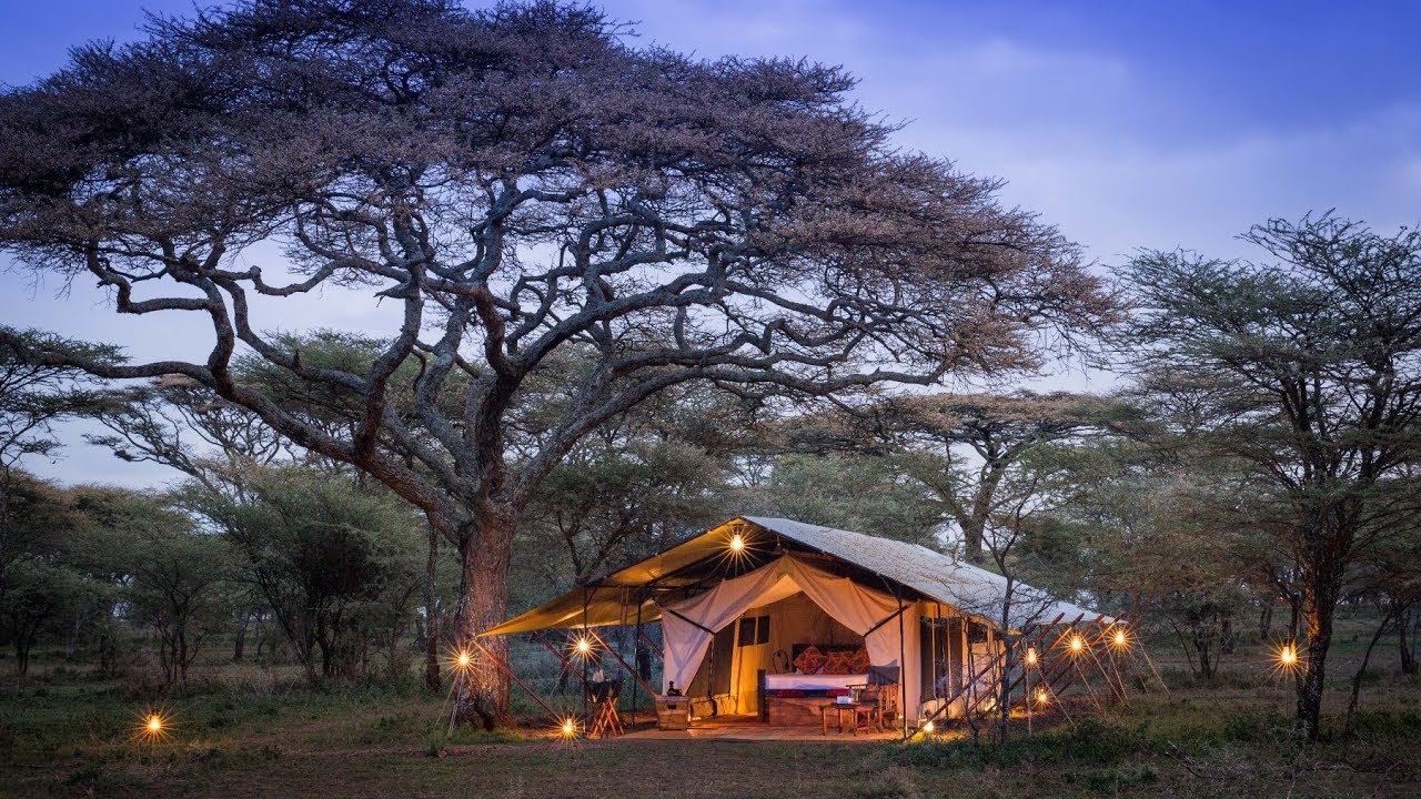 Tanzania Safari Holiday | Tanzania Safaris and Tours | Best Tanzania Safari  Tours