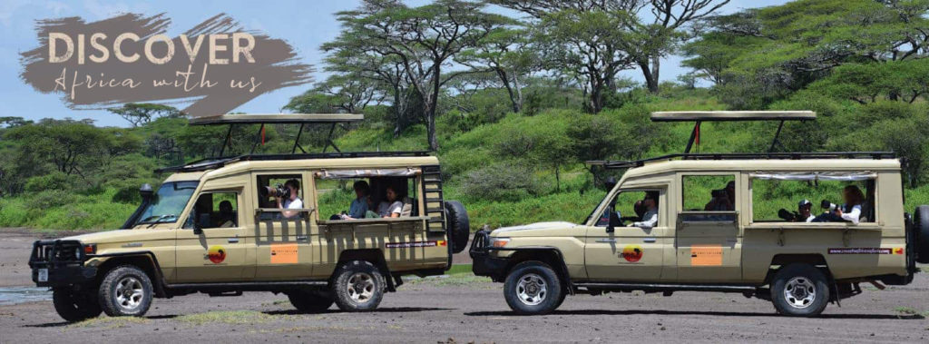 Tanzania Tours