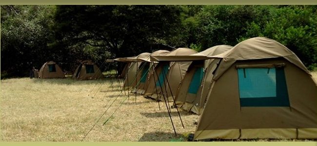 cross Africa safaris website; best Tanzania safari tours