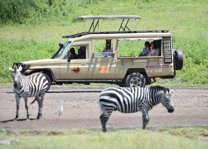 Photographic Safari