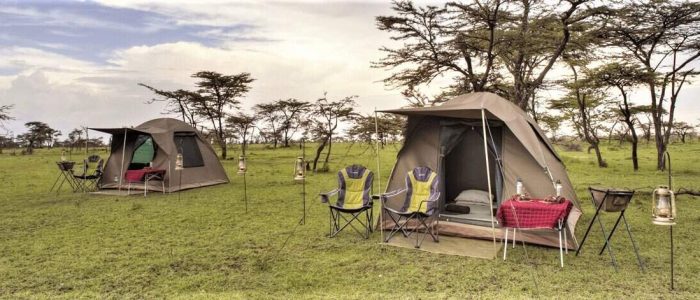 Tanzania Budget Camping Safari 1