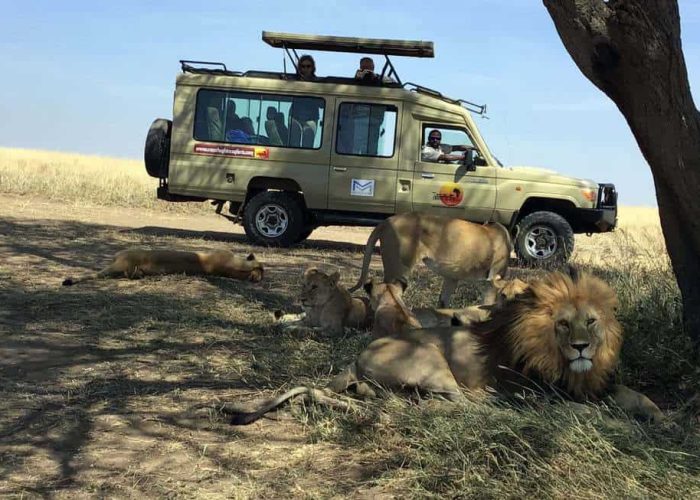cross Africa safaris website; best Tanzania safari tours